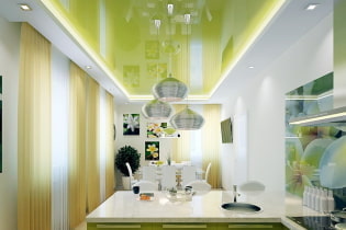 Zeleni strop: dizajn, sjenila, kombinacije, vrste (rastezanje, gips karton, slika, pozadina)