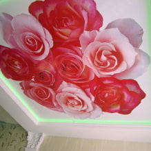 Plafond rose: types (stretch, cloisons sèches, etc.), stores, combinaisons, éclairage-8