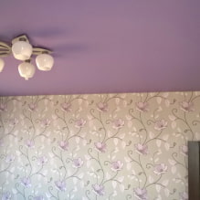 Soffitto lilla: tipi (tratto, muro a secco, ecc.), Combinazioni, design, illuminazione-8