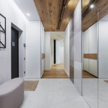 Οροφή στο διάδρομο: τύποι, χρώμα, σχεδιασμός, σγουρές δομές στο διάδρομο, φωτισμός-1