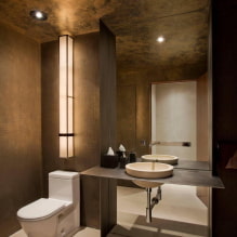 Tak på toalettet: typer materialer, struktur, tekstur, farge, design, belysning-0
