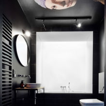 Plafond dans les toilettes: types de matériaux, construction, texture, couleur, design, éclairage-2