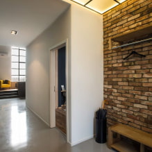 Dinding di lorong: jenis kemasan, warna, reka bentuk dan hiasan, idea untuk koridor kecil-1