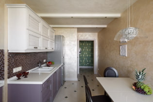 Intonaco decorativo in cucina: tipi, idee di design, colori, rivestimento del grembiule