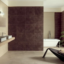 Decorarea pereților în baie: tipuri, opțiuni de design, culori, exemple de decor-1