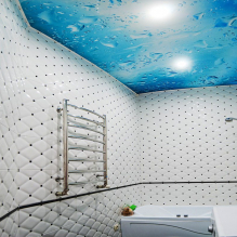 Зидна декорација у купатилу: врсте, могућности дизајна, боје, примери декор-8