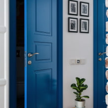 Doors in the Scandinavian style: types, color, design and decor, the choice of accessories-2