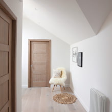 Pintu-pintu dalam gaya Scandinavia: jenis, warna, reka bentuk dan hiasan, pilihan aksesori-8