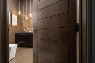 Doors of wenge in the interior of the apartment: photo, types, design, combination with furniture, wallpaper, laminate, baseboard
