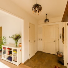 Valoisat ovet sisätiloissa: näkymät, värit, yhdistelmä lattian, seinien ja huonekalujen kanssa - 0