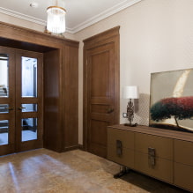 דלתות לאולם הכניסה והמסדרון: סוגים, עיצוב, צבע, שילובים, צילום בפנים -1
