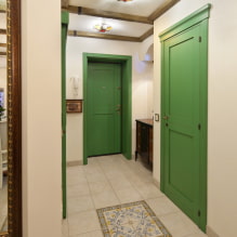 Πόρτες στην είσοδο και στο διάδρομο: τύποι, σχέδιο, χρώμα, συνδυασμοί, φωτογραφία στο εσωτερικό-5