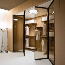 Portas para a sala de guarda-roupa: tipos, materiais, design, cor-5