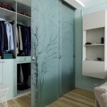 Døre til garderobeskabet: typer, materialer, design, farve-8
