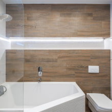 Niches dans la salle de bain: options de remplissage, choix de l'emplacement, idées de conception-3