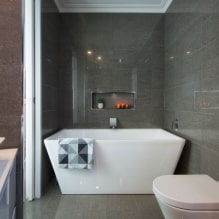 Niches di bilik mandi: pilihan mengisi, pilihan lokasi, idea reka bentuk-6