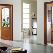 Interior doors with glass: photos, types, design and drawings, colors, shapes of inserts-6