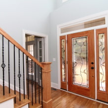 Entrance doors: photo, types of materials, color, interior decoration, design-3