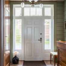 Πόρτες εισόδου: φωτογραφία, τύποι υλικών, χρώμα, εσωτερική διακόσμηση, σχέδιο-7