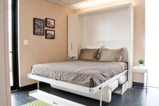 Κρεβάτι στον τοίχο: φωτογραφίες στο εσωτερικό, προβολές, σχέδιο, παραδείγματα μετασχηματιστών διπλώματος