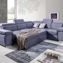 Sofa rozkładana: zdjęcia, rodzaje mechanizmów, materiały obiciowe, design, kolory, kształty-0