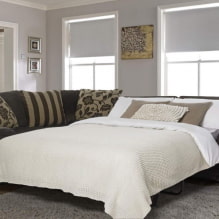 Sofa bed: hình ảnh, các loại cơ chế, vật liệu bọc, thiết kế, màu sắc, hình dạng-2