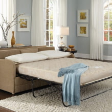 Katil sofa: foto, jenis mekanisme, bahan upholsteri, reka bentuk, warna, bentuk-5