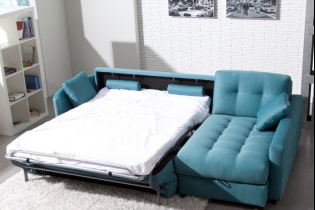 Canapé-lit: photos, types de mécanismes, matériaux d'ameublement, design, couleurs, formes