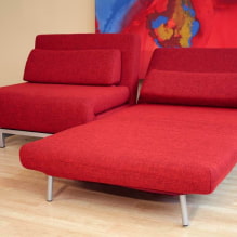 Nojatuoli-sänky: valokuva, suunnitteluideat, väri, verhoilun valinta, mekanismi, täyteaine, runko-5