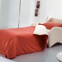 Krēsla gulta: foto, dizaina idejas, krāsa, apdares izvēle, mehānisms, pildviela, rāmis-7