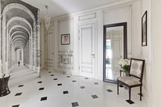 Плочице на поду у ходнику и ходнику: дизајн, врсте, могућности распореда, боје, комбинације