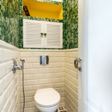 Tigla din toaletă: design, fotografie, sfaturi de selecție, tipuri, culori, forme, exemple de aranjare-1