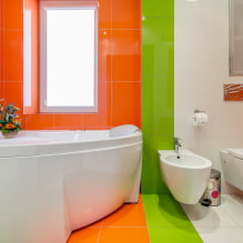 Disposició de rajoles al bany: normes i mètodes, característiques del color, idees per al sòl i les parets-5