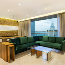 Sofa hijau: jenis, reka bentuk, pilihan bahan upholsteri, mekanisme, kombinasi, warna-5