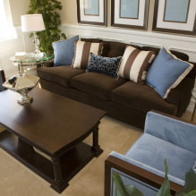 Brūns dīvāns interjerā: veidi, dizains, apdares materiāli, toņi, kombinācijas-6