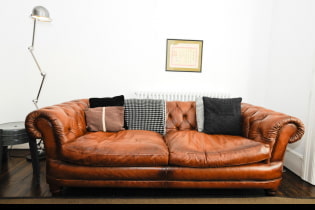 Brūns dīvāns interjerā: veidi, dizains, apdares materiāli, toņi, kombinācijas