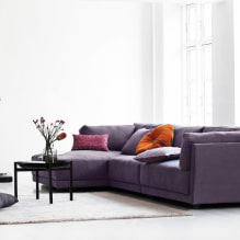 Lila soffa i interiören: typer, klädselmaterial, mekanismer, design, nyanser och kombinationer-4