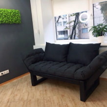 Svart sofa i interiøret: polstermaterialer, nyanser, former, designideer, kombinasjoner-6