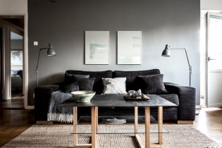 Sofa hitam di kawasan pedalaman: bahan upholsteri, warna, bentuk, idea reka bentuk, gabungan