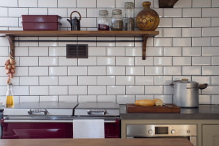 Azulejo de jabalí en el delantal de la cocina: tipos, colores, diseño, dibujos, fotos en el interior