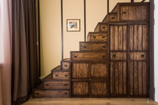 Garderobe under trappen: typer, fyllingsalternativer, originale ideer i et privat hus