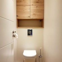 Ντουλάπα στην τουαλέτα: σχεδιασμός, τύποι, επιλογές θέσης, φωτογραφία στο εσωτερικό-0