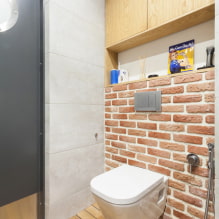 Šatníková skriňa na záchode: dizajn, typy, možnosti umiestnenia, fotografia v interiéri-4