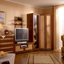 Armari de cantonera a la sala d'estar: tipus, formes, colors, opcions d'ompliment, exemples d'armaris a la sala 2