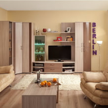 Kampinė spinta gyvenamajame kambaryje: tipai, formos, spalvos, užpildymo variantai, 5 spintos spintų pavyzdžiai