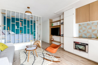 Dizaina studijas tipa dzīvoklis 25 kvadrātmetru platībā. m. - interjera fotogrāfijas, projekti, vienošanās noteikumi