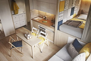 Design apartamento de 20 metros quadrados. m. - foto do interior, escolha da cor, iluminação, idéias para arranjo