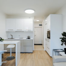 Dizajn malog studio apartmana veličine 22 četvorna metra. m. - fotografije interijera, primjeri popravljanja-8