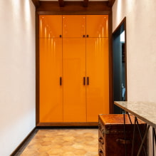 Ντουλάπα στο διάδρομο και διάδρομο: θέα, εσωτερικό, τοποθεσία, χρώμα, σχέδιο-3