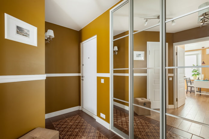 Ormar u hodniku i hodniku: pogledi, unutrašnjost, lokacija, boja, dizajn